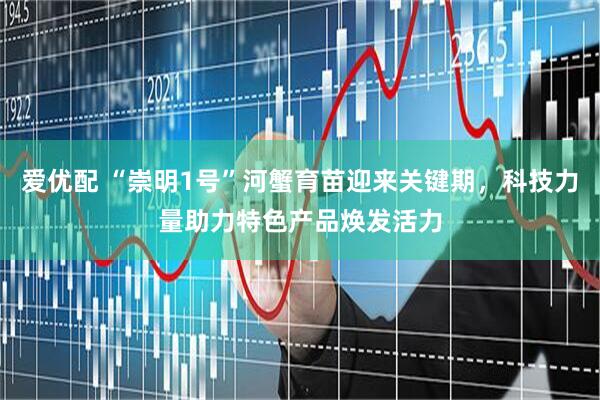 爱优配 “崇明1号”河蟹育苗迎来关键期，科技力量助力特色产品焕发活力